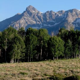 Private Lands Protecting Species